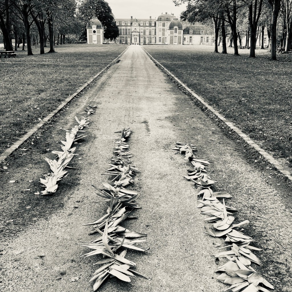 Résidence au domaine départemental de Chamarande (91) – Octobre&nbsp;2022