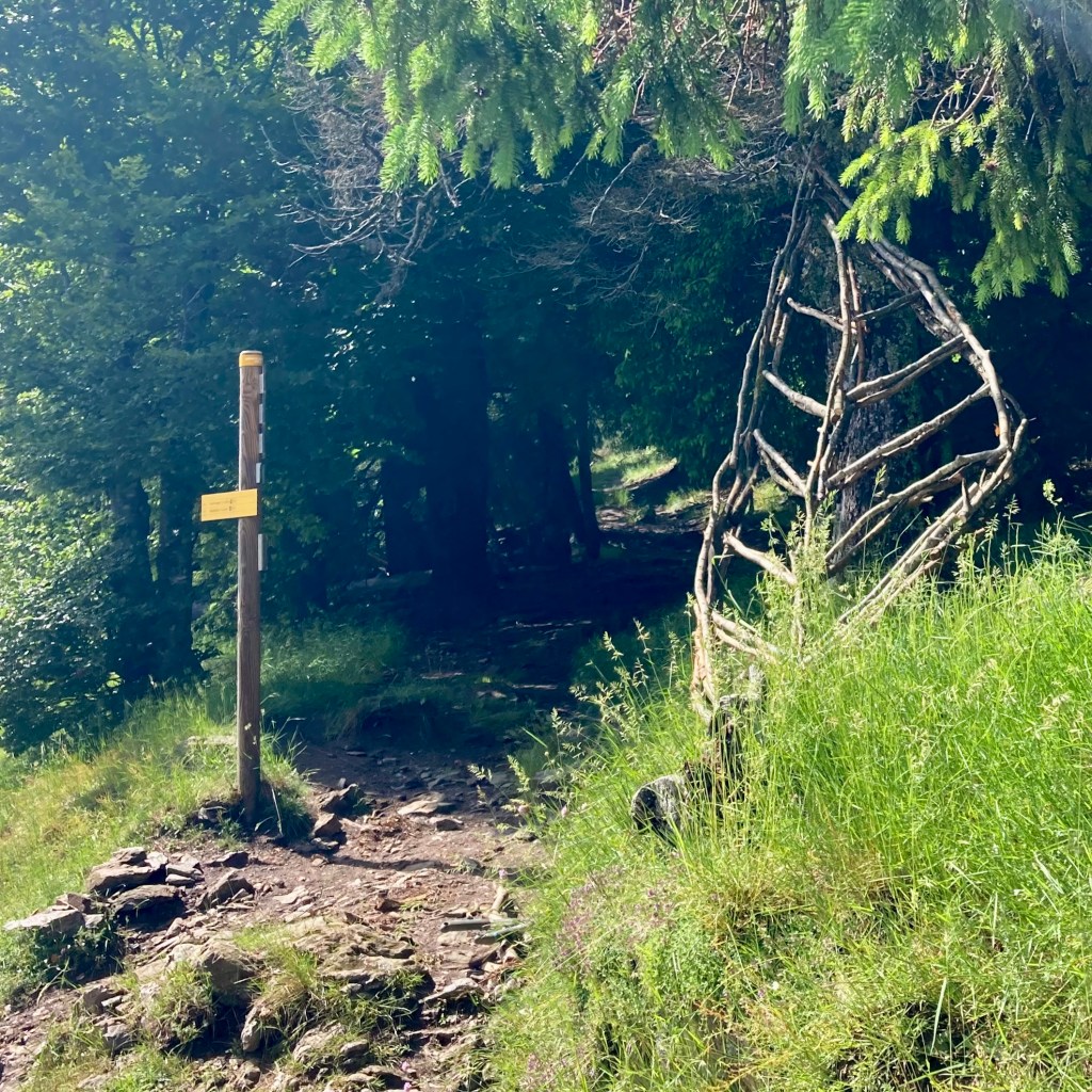 NATURALITÉ. Les Balcons de l’Aigoual. Commande de la filature du Mazel – Mont Aigoual. Juin 2023 à décembre&nbsp;2024