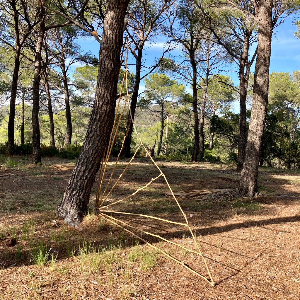 CHAMPS SONORES. Appel à projet hors les murs St Raphaël (83), installation végétale  – Octobre&nbsp;2022