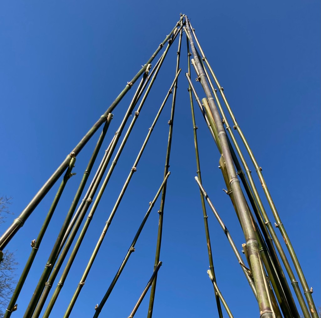 LES DIALOGUES. Exposition collective Form I Bois au Château de Seneffe, Seneffe Belgique&nbsp;2022