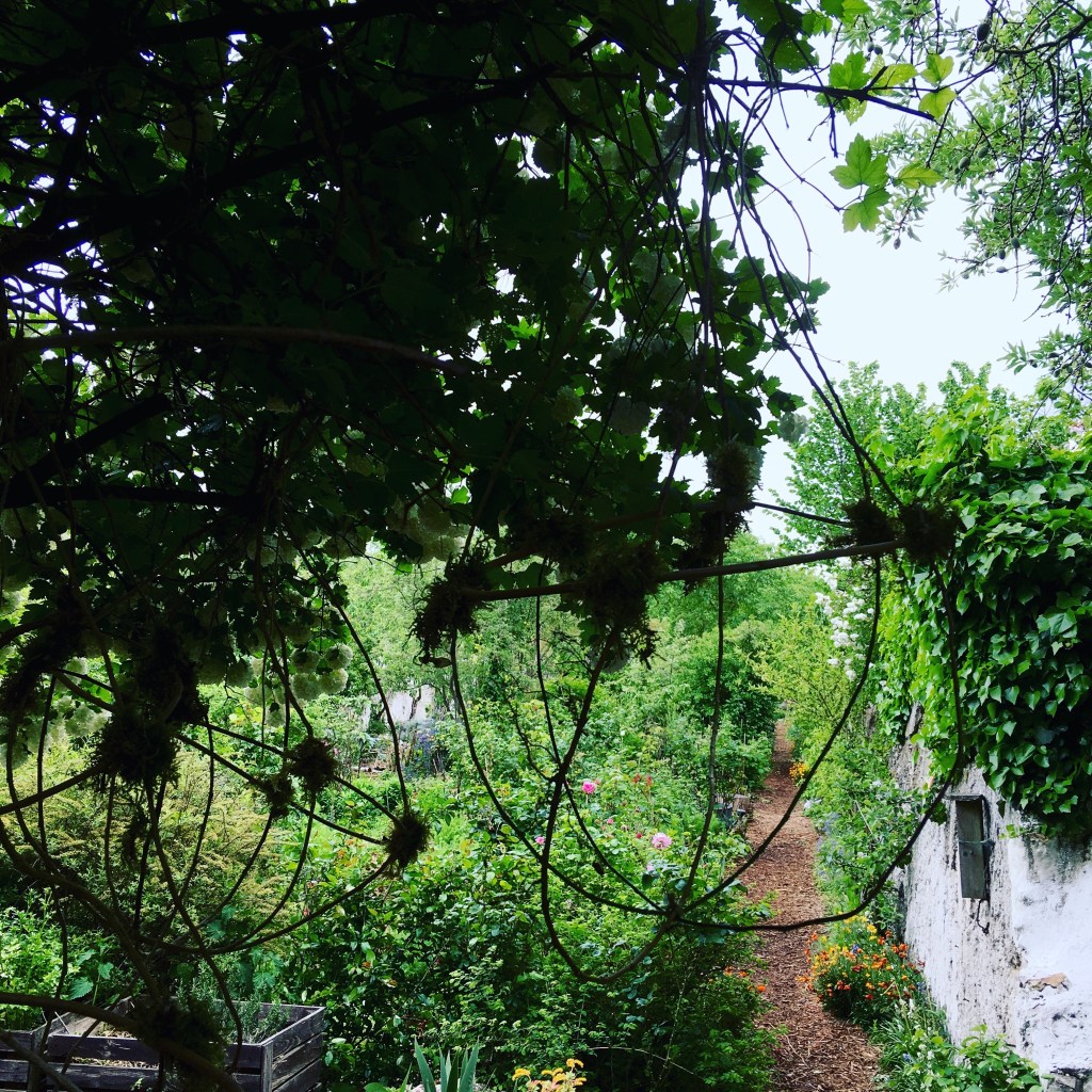 EFFLORESCENCES. Appel à projet Land art aux Murs à pêches, Montreuil (75) Avril à Septembre&nbsp;2019