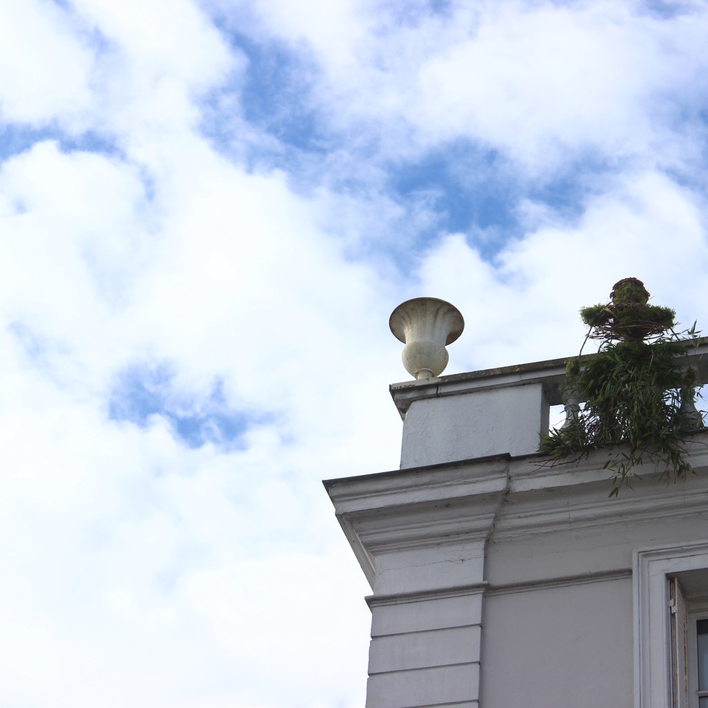 DAMES NATURES. Journées internationale des droits des femmes. Mars 2018,&nbsp;Fontainebleau