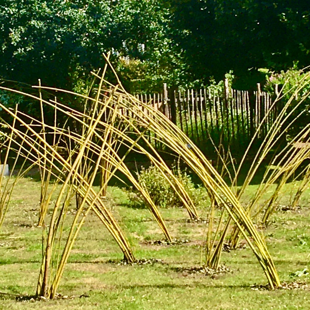 ISOSTATIQUES. Festival des 5 saisons, Chaudfontaine, Belgique. Juin&nbsp;2020