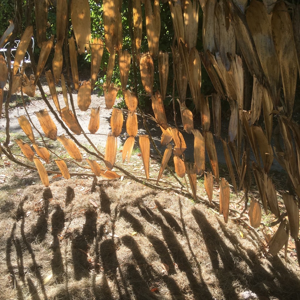 JAPONISMES. Château de Tauzia. Gradignan (33). Octobre&nbsp;2018.