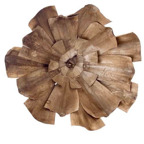 EXPLORATIONS BOTANIQUES EN COURBES ET EN VOLUMES. Alliance française de Banjul, Gambie. Exposition personnelle, été&nbsp;2024.