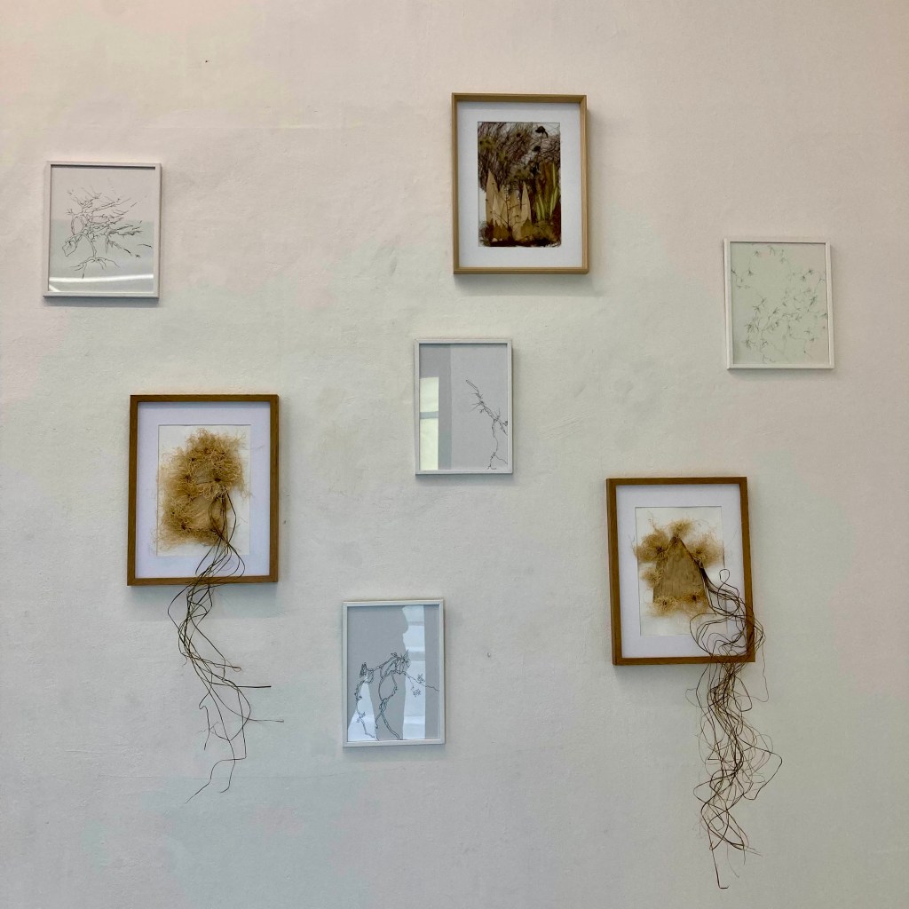 EXPOSITION FAIRE LIANE centre d&rsquo;art Plateforme,&nbsp;Paris