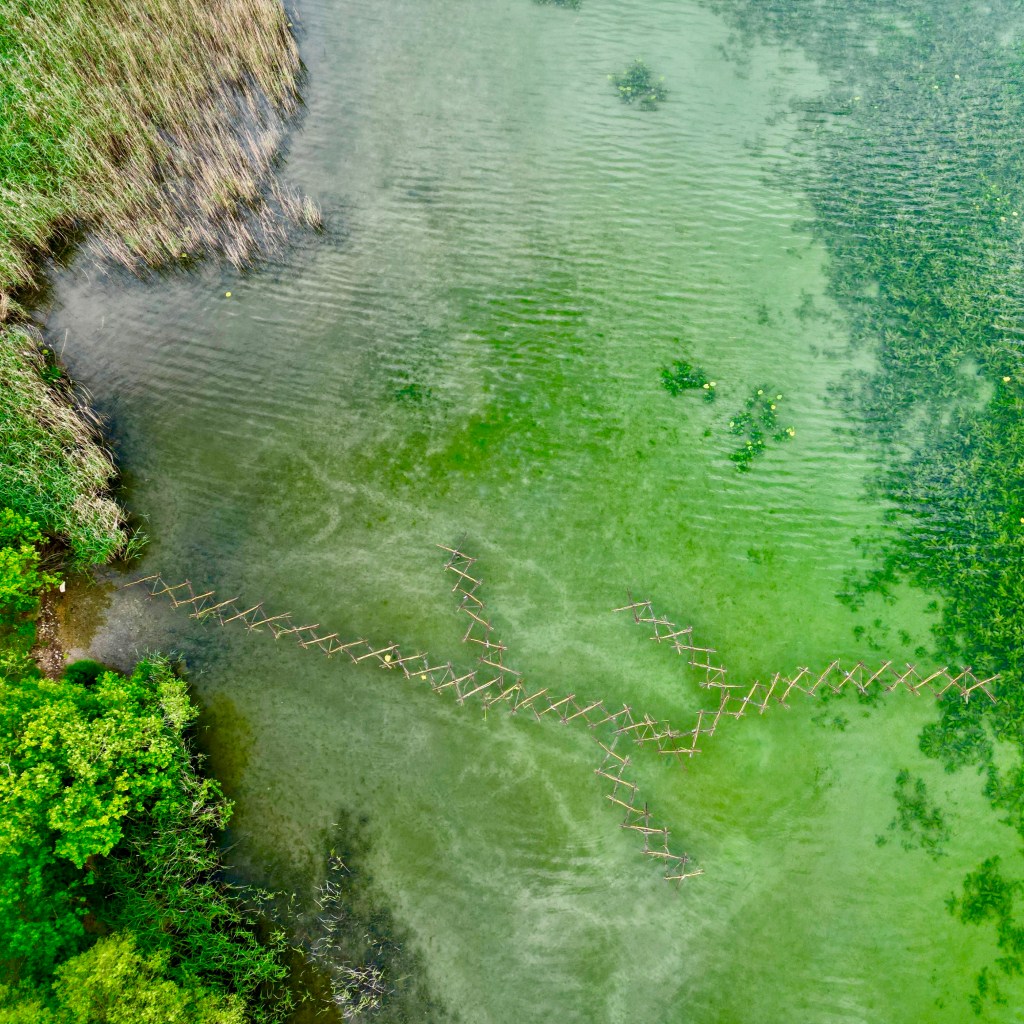 PAENSER la nature, à fleur&nbsp;d&rsquo;eau