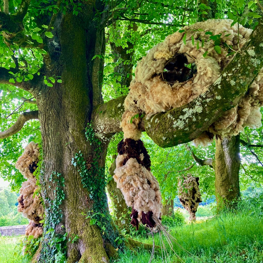 Petit à petit l&rsquo;oiseau fait son nid, se tissent et se dessinent nos&nbsp;paysages